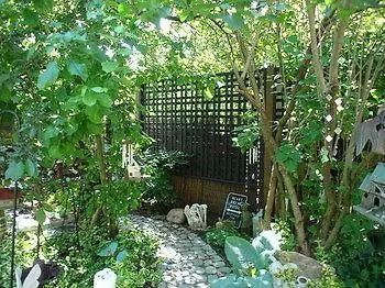 Stonehouse On Sterling Guesthouse Toronto