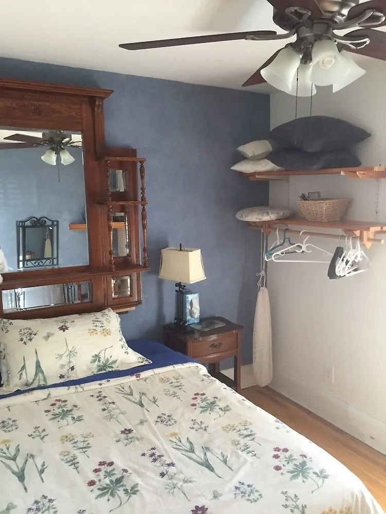 Hotel Stonehouse On Sterling Guesthouse Toronto