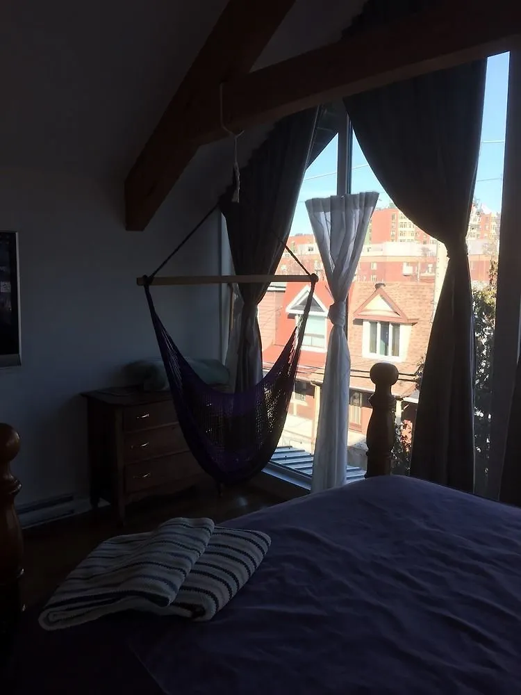 Hotel Stonehouse On Sterling Guesthouse Toronto